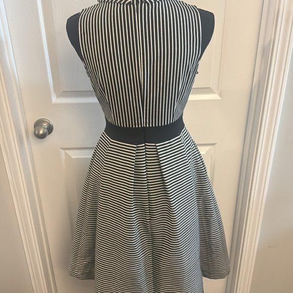 New York & Company - Eva Mendes - Stripe Fit Flare Overskirt Dress - Picture 4 of 5